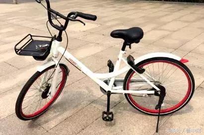 为什么要定居,为什么定居淄博