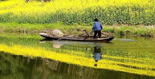 带你体验不一样的异国风情柬埔寨,去柬埔寨探寻神秘而又独特的美