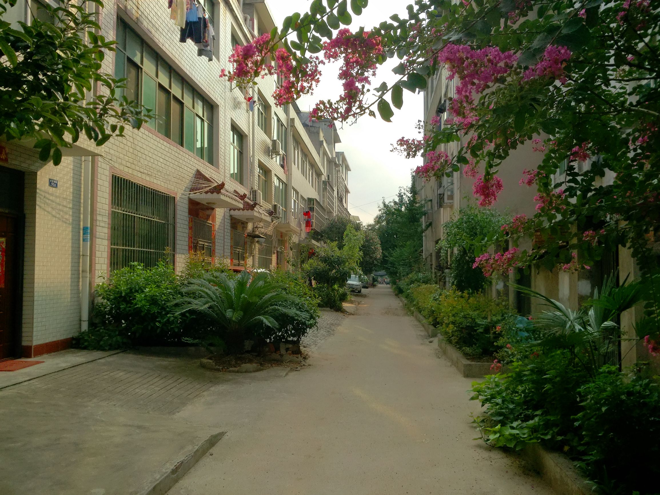 黄州古街,黄州哪个古镇最好