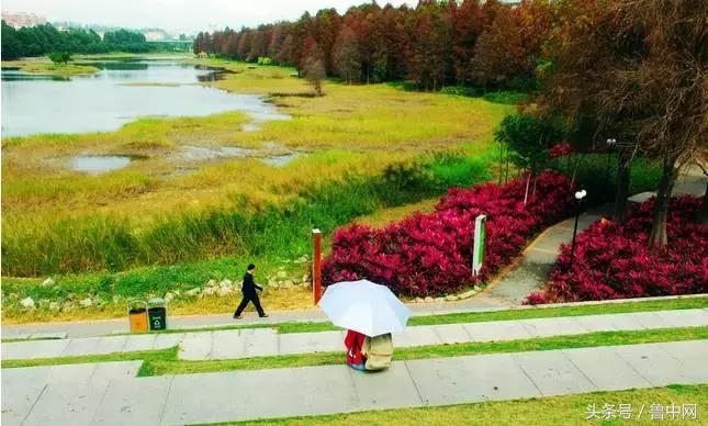 为什么要定居,为什么要定居省会城市