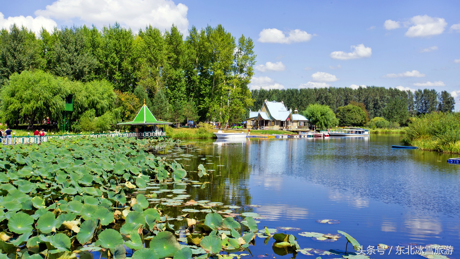 伏尔加庄园一日游攻略,伏尔加庄园一日游团