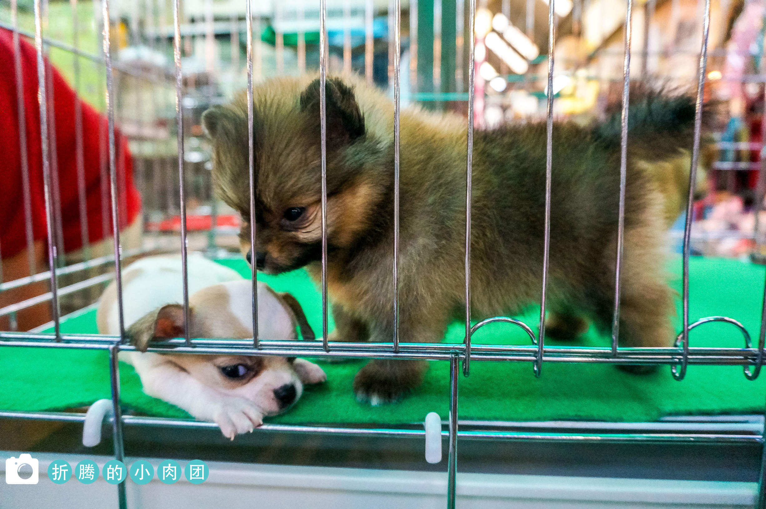 泰国曼谷导游推荐,泰国曼谷哪个地方购物便宜