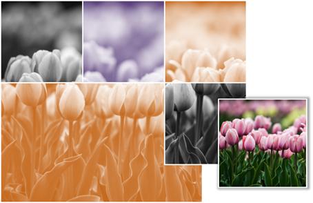 ppt曲屏图片墙怎么做,ppt特色背景墙效果图