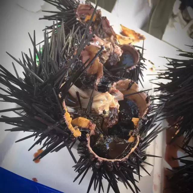 学姐学长的朋友圈,飞过一整个世界