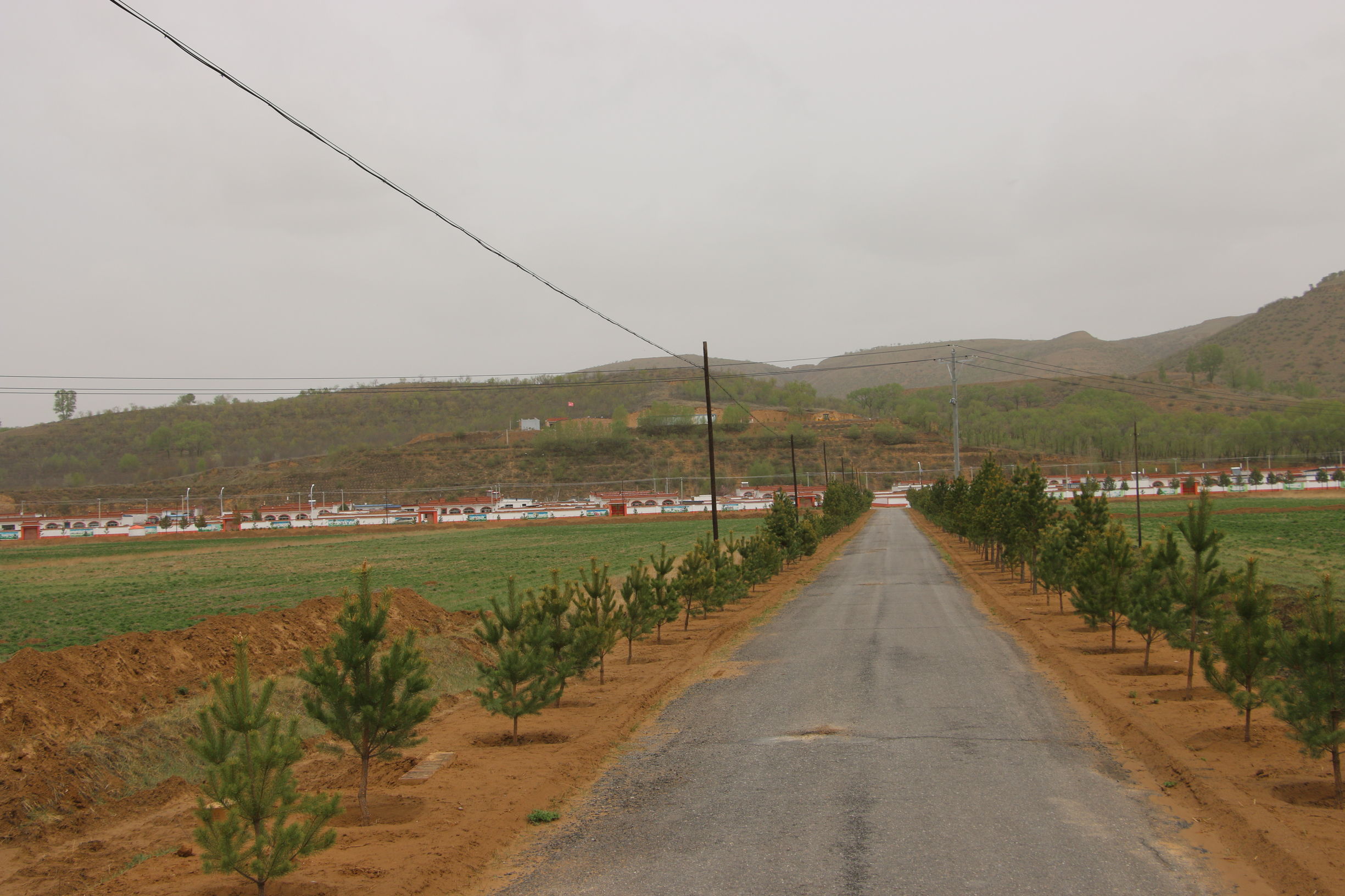 长城美丽乡村,长城镇美丽乡村建设