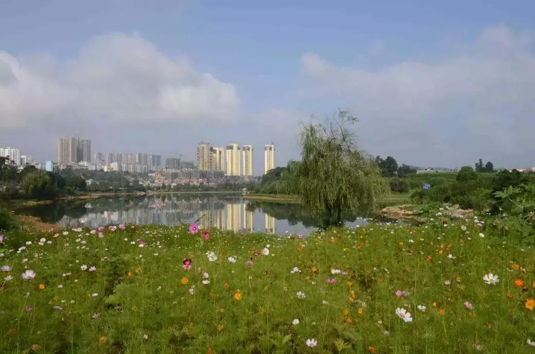 贵州方言笑死人的句子,贵州方言笑死人了