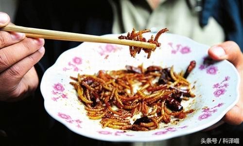 你认识百灵鸟吗,会说话的百灵鸟