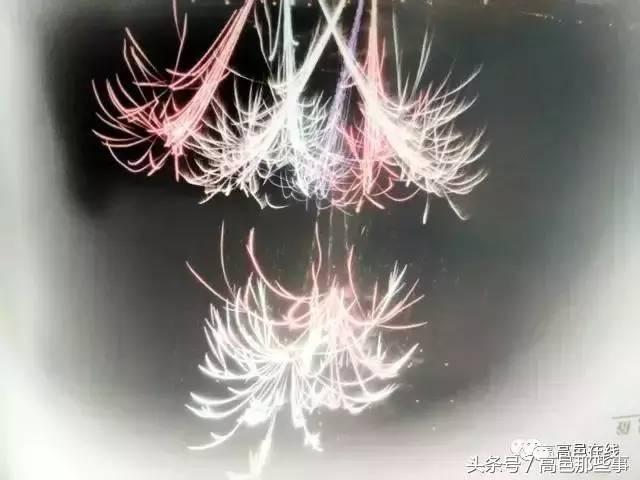 高邑今天的事,高邑那些事