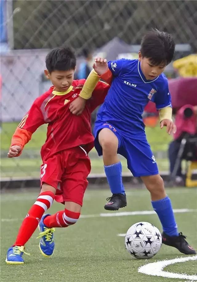 先睹为快,先睹为快校园文化艺术节