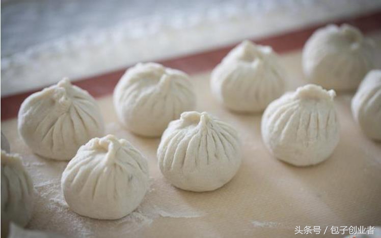 做包子和面加盐和糖的区别,做包子和面和碱的比例是多少