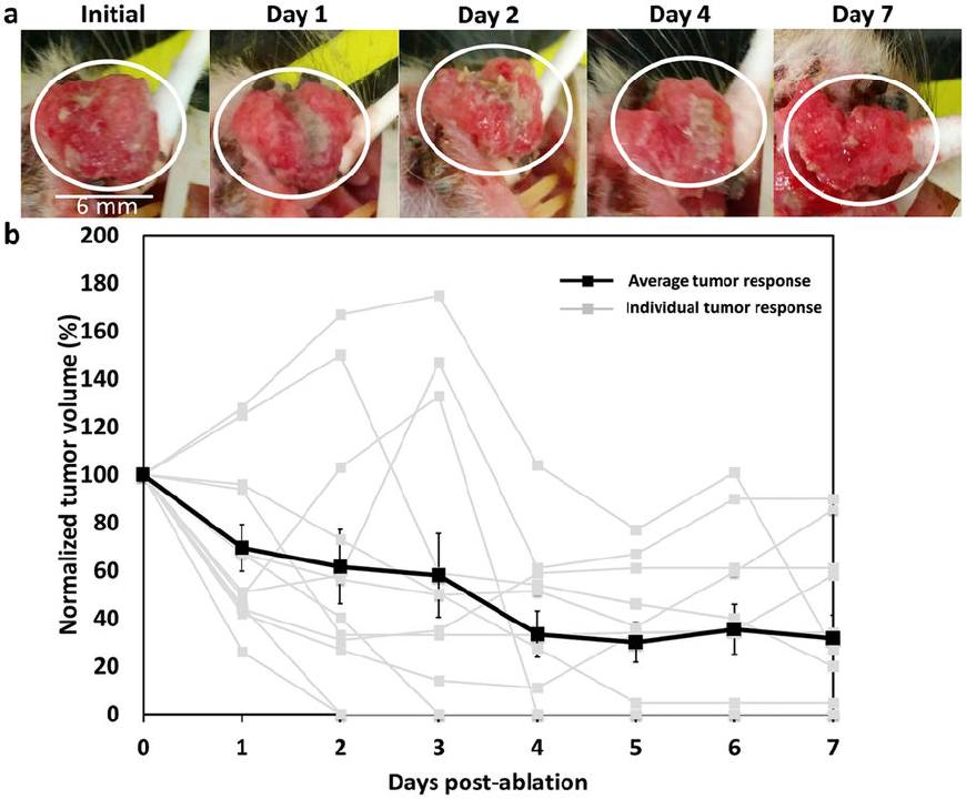 一个全新治疗癌症的方法诞生,治疗癌症药物的原料