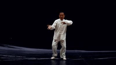 他是一代宗师小说,陈发科太极拳大师