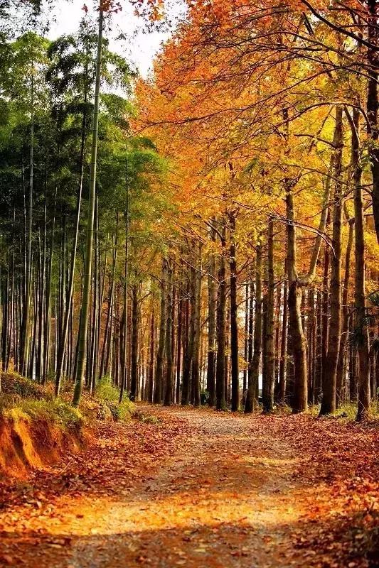 深山原始村落自驾游,大山深处古老村落自驾游