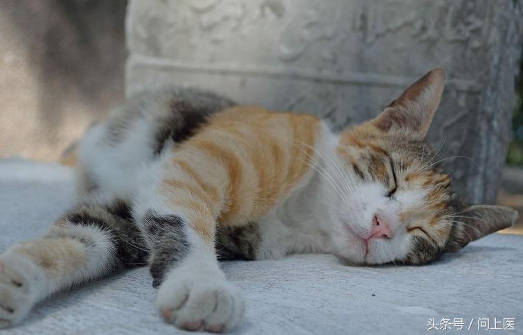 痛经有没有什么办法能缓解,痛经要喝什么有效果