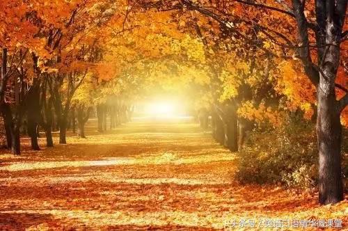 描写秋天美丽的句子英文,有关秋天的英文表达方式
