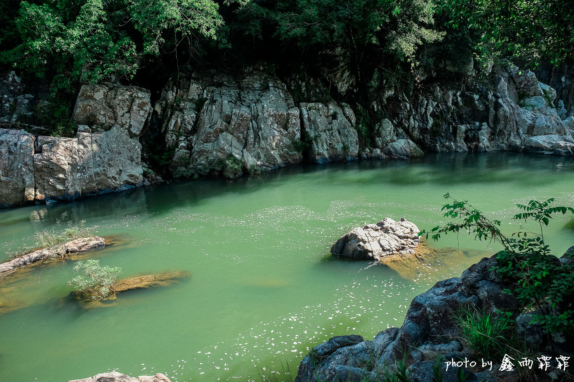 尝遍海南水果,尝遍一年四季水果