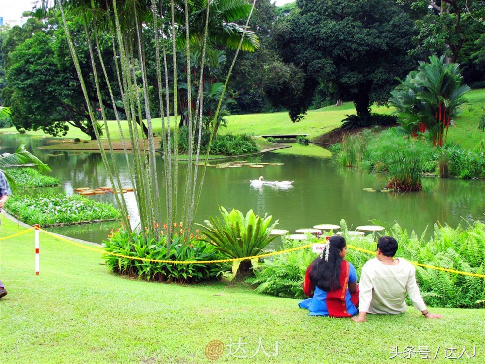 达人J:新马声色任逍遥