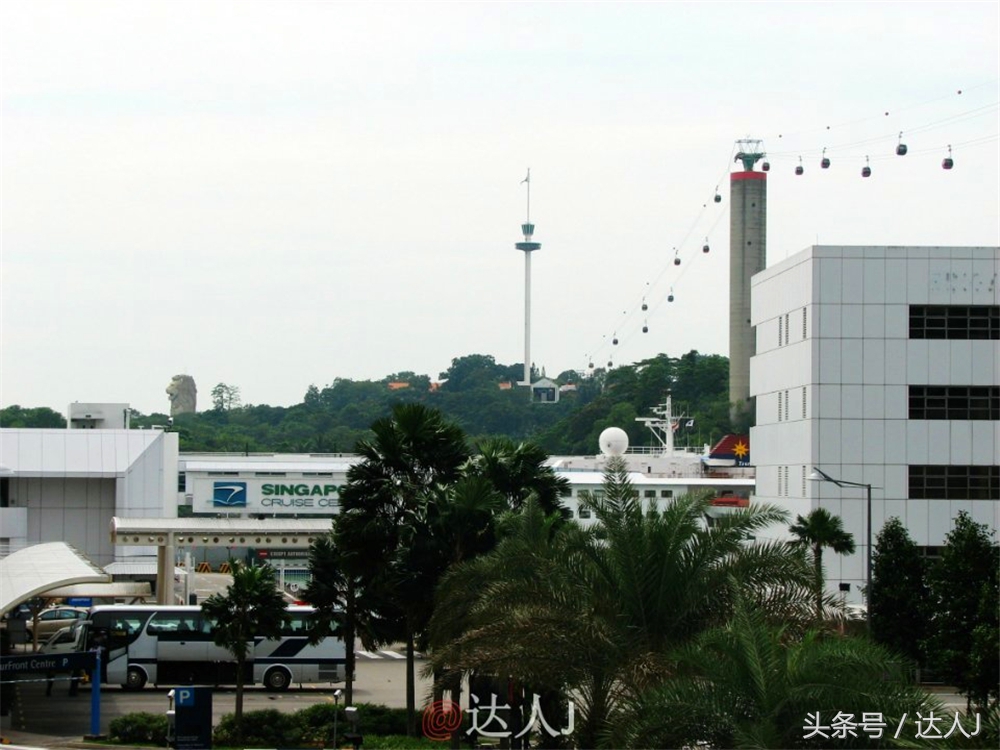 达人J:新马声色任逍遥