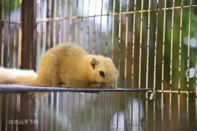 三亚最值得小朋友去的地方,三亚美景小孩最喜欢玩的地方