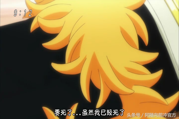 龙珠超联动海贼王,海贼王七龙珠联动篇