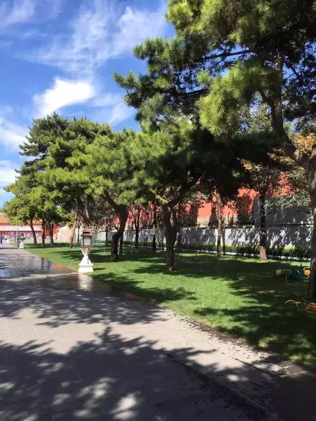 故宫武英殿赵孟頫书画特展,北京故宫有展赵孟頫画吗