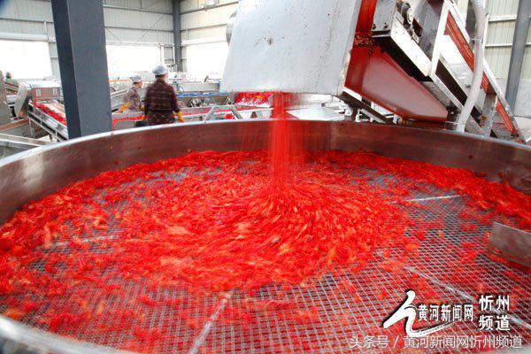 2021忻州辣椒基地,忻州辣椒产业园在哪