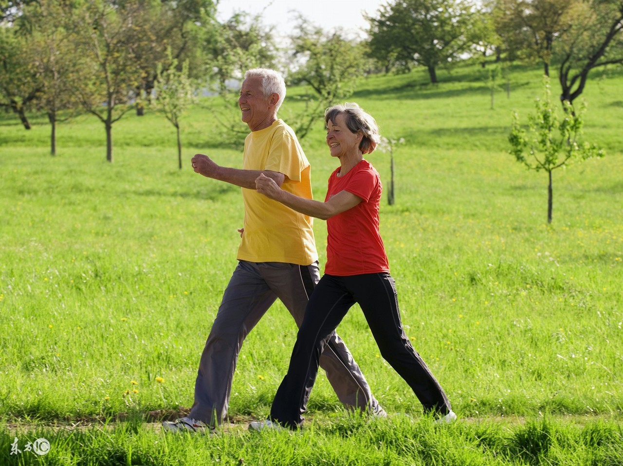 在家锻炼运动降血压血糖,降血压和血糖最有效的运动