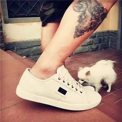 小白鞋爆款推荐,小众品牌小白鞋