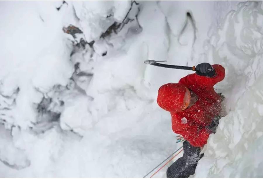 始祖鸟户外鸟,始祖鸟龙年限定户外品牌