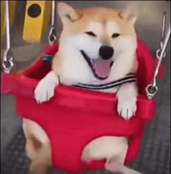 养宠物家庭必备神器,适合养宠物的家居用品