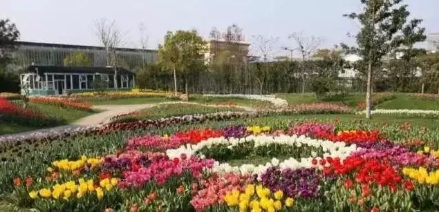 宁波松兰山旅游度假区需要门票吗,宁波罗蒙环球城游玩攻略