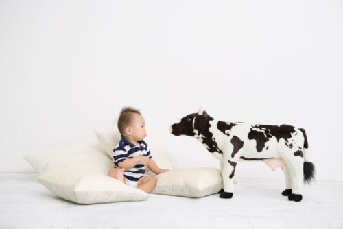 进口奶粉哪一款奶粉最好,给孩子选进口奶粉什么样的好