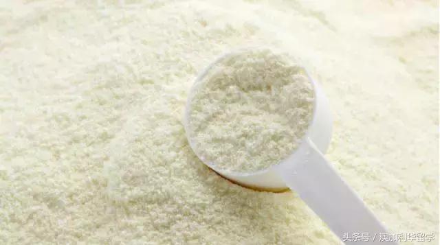 去澳洲带了一些面包,去澳洲玩带什么东西