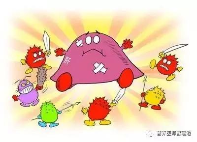 太阳蛋芒果好吃吗,太阳蛋的10种吃法