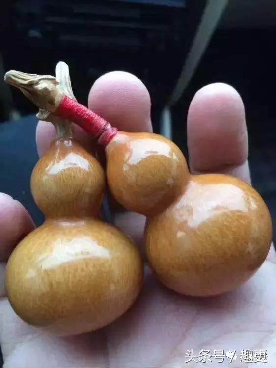 葫芦老掉龙头怎么办,葫芦的龙头快掉了怎么办