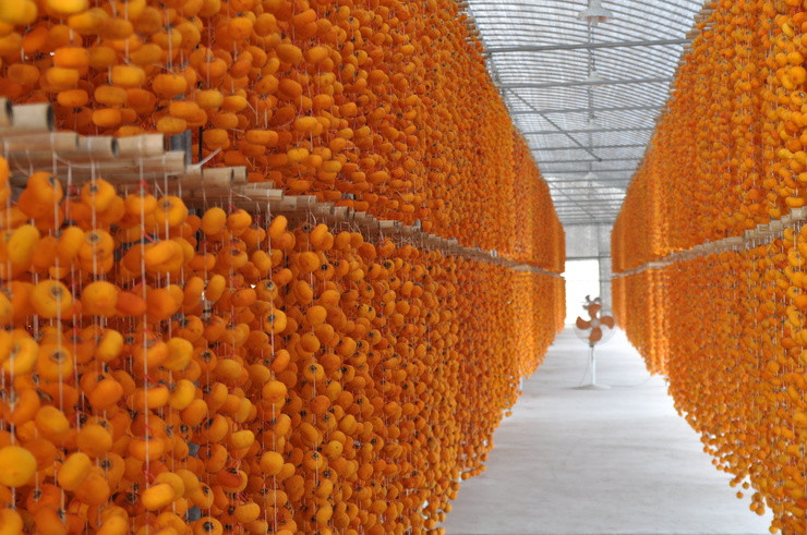 商洛景区当地小吃特产,商洛地区哪个县的特产最好