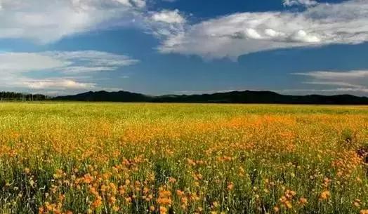 张家口之夜景色真的很美,从来没有见过的张家口美景