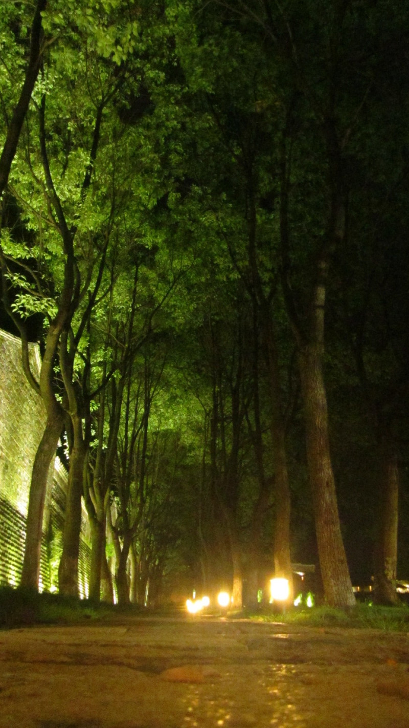 苏州西塘乌镇二日游团从杭州出发,苏州西塘乌镇二日一夜