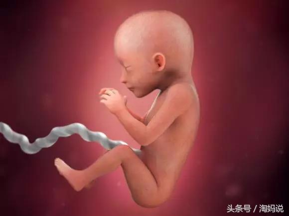 还有没有胎心胎芽,没有胎心不要慌怎么回事