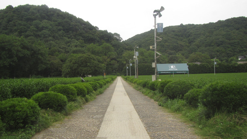 苏州西塘乌镇二日游团从杭州出发,苏州西塘乌镇二日一夜