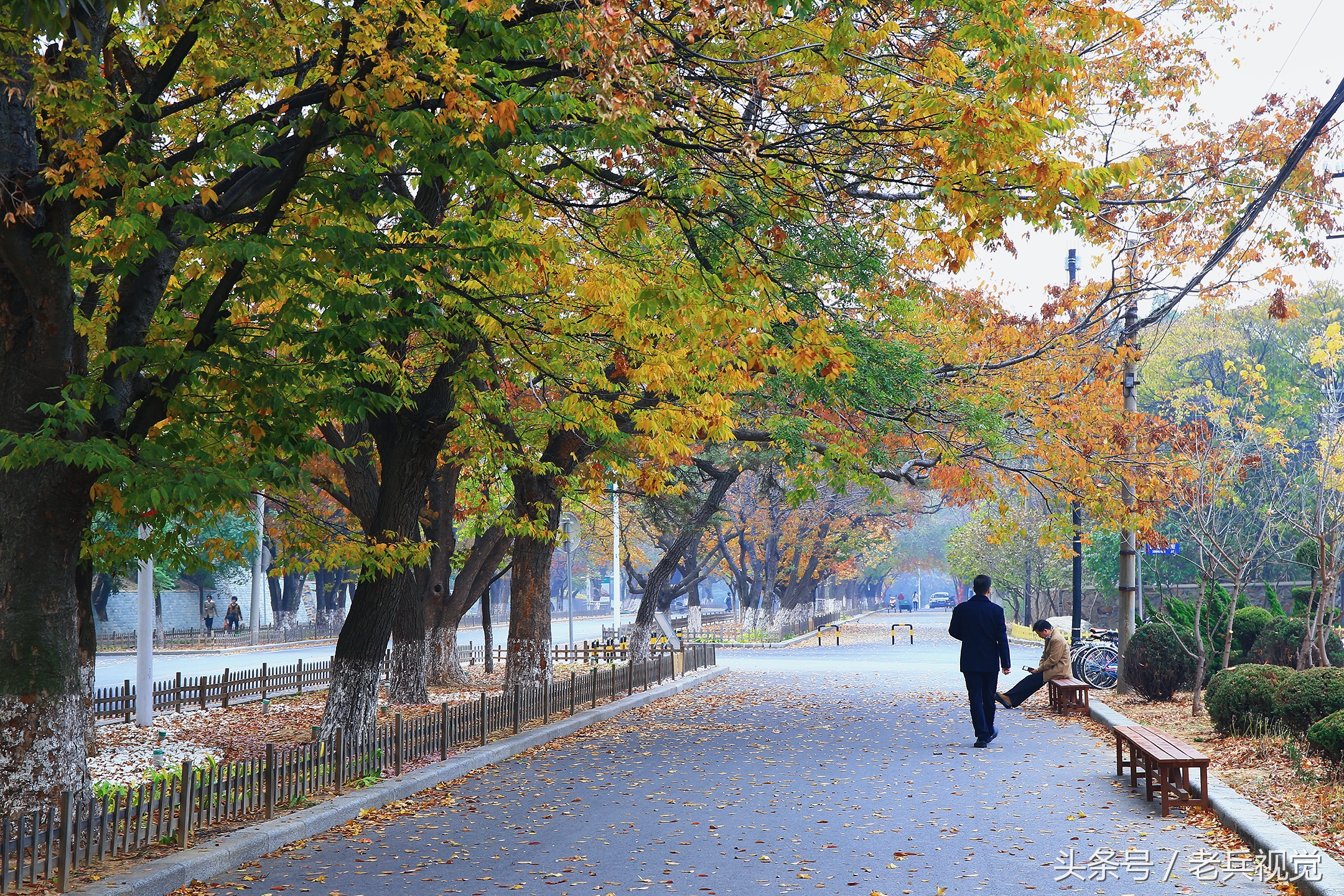 大连的秋天,大连附近秋天值得去的城市