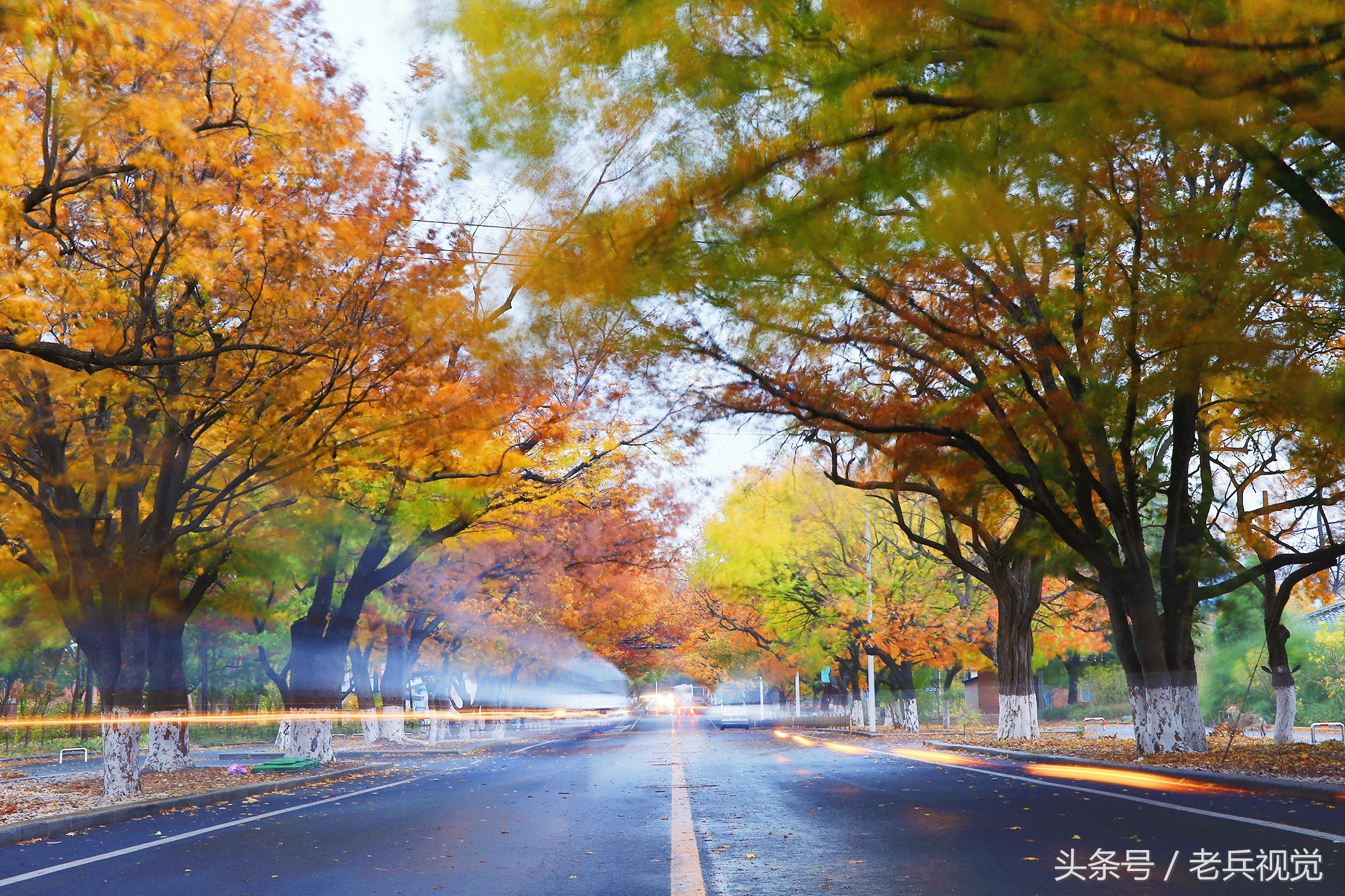 大连的秋天,大连附近秋天值得去的城市