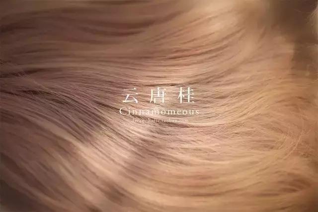 一种很特别的发色名称,雾青灰色发色