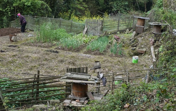 蜂蜜怎么买才是正宗,怎么购买真正的蜂蜜