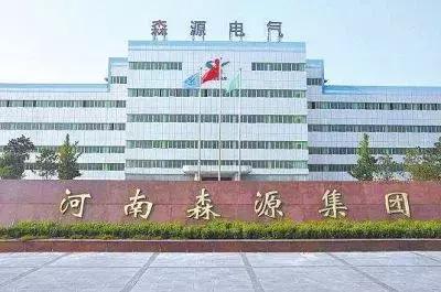 森源集团500强企业,许昌森源集团有限公司年收入