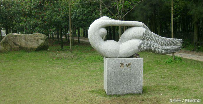 浙江玉环漩门湾国家湿地公园灯光,浙江玉环漩门湾湿地公园拍鸟