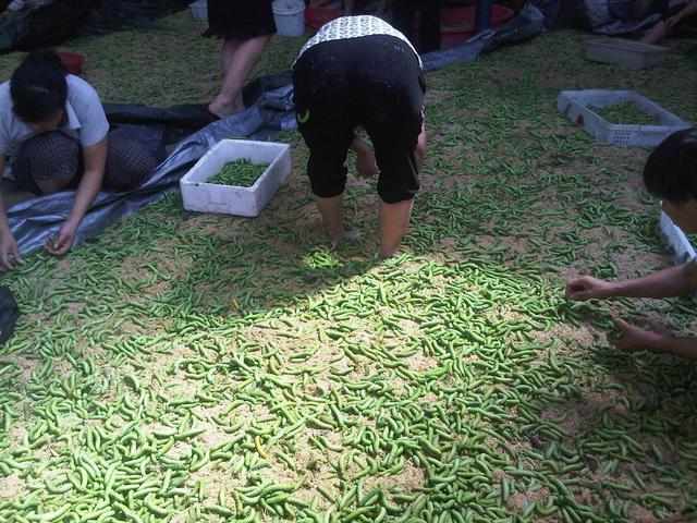 三农稀奇古怪的美食你吃过吗,农村里的这些菜个个都是宝