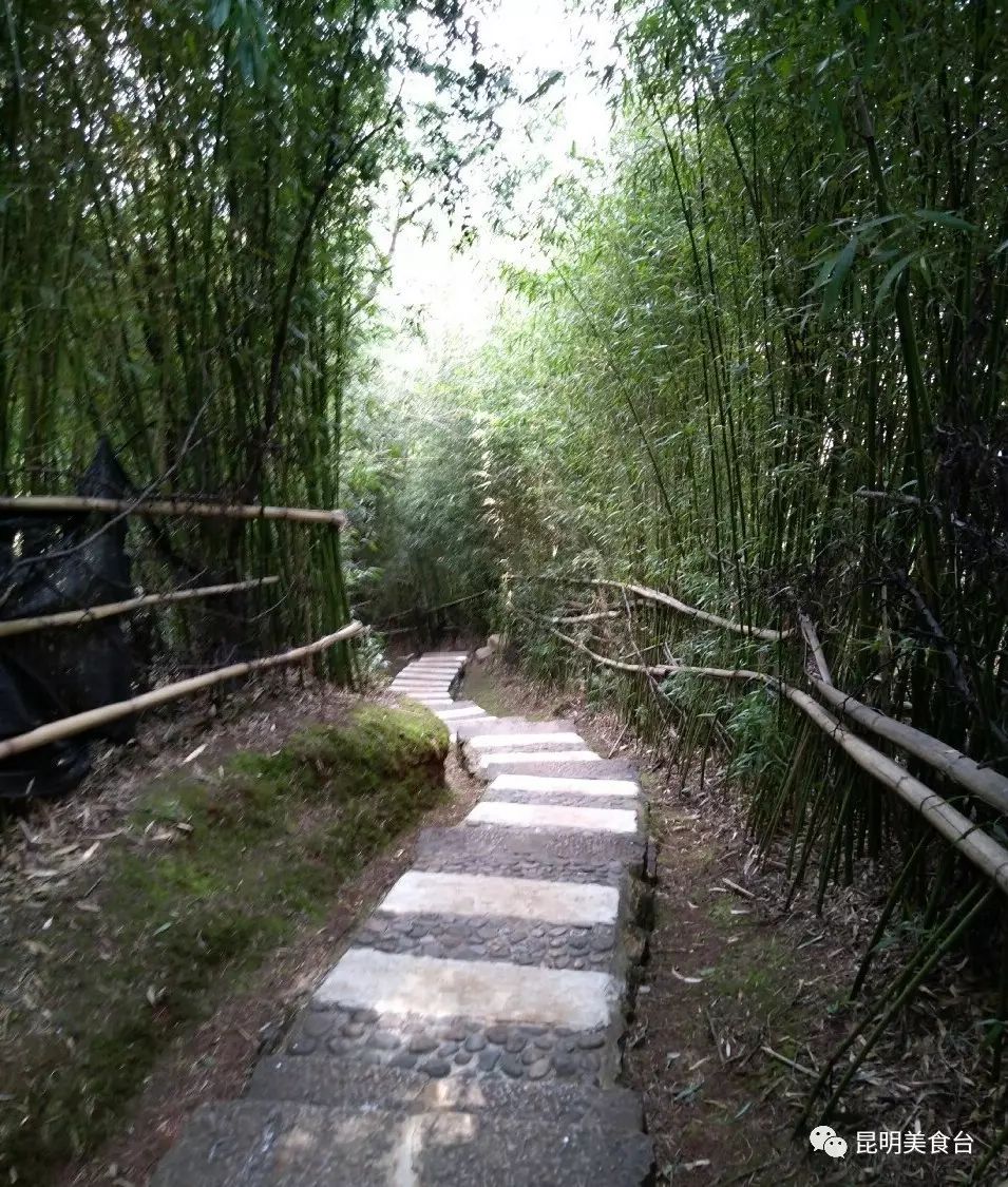 云南最神秘的六个野温泉，峡谷弥漫雾气小鱼咬脚，车底盘常常被刮