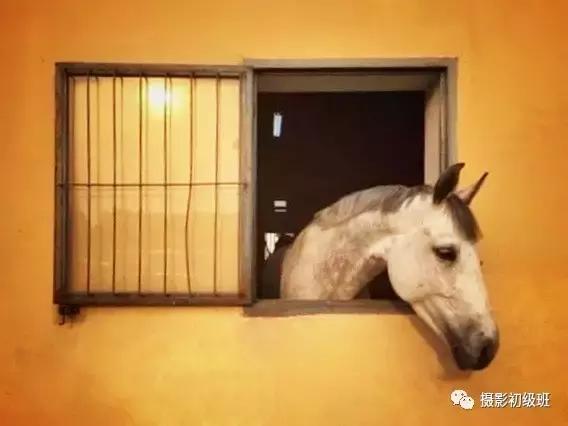 手机照片后期最好的修图软件,手机lr后期修图教程