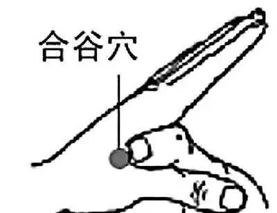 人体上千个穴位你只需要知道这10个，防病养生又长寿